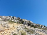 DSC05597
